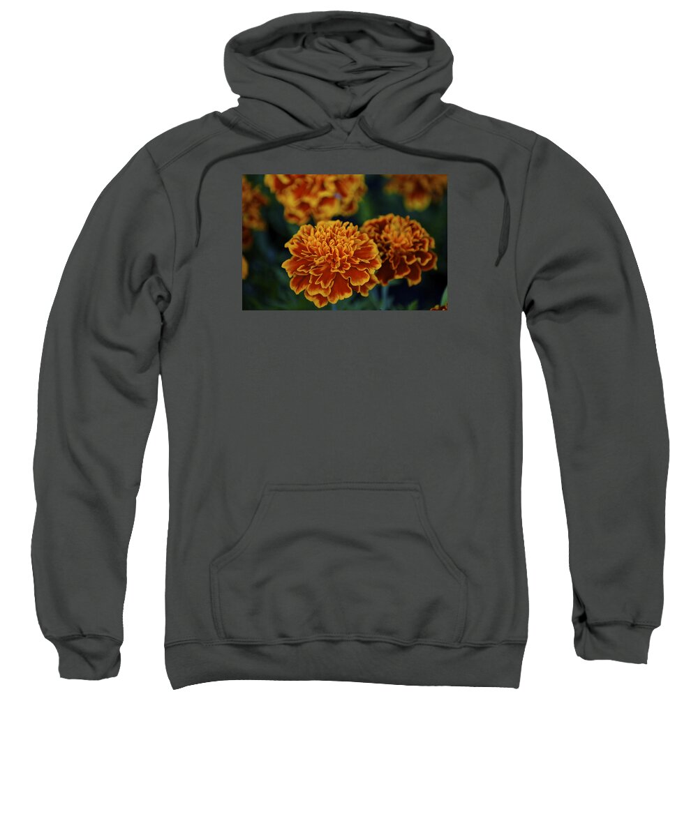 Marigold Sweatshirt featuring the photograph Golden Layers by Steve L'Italien