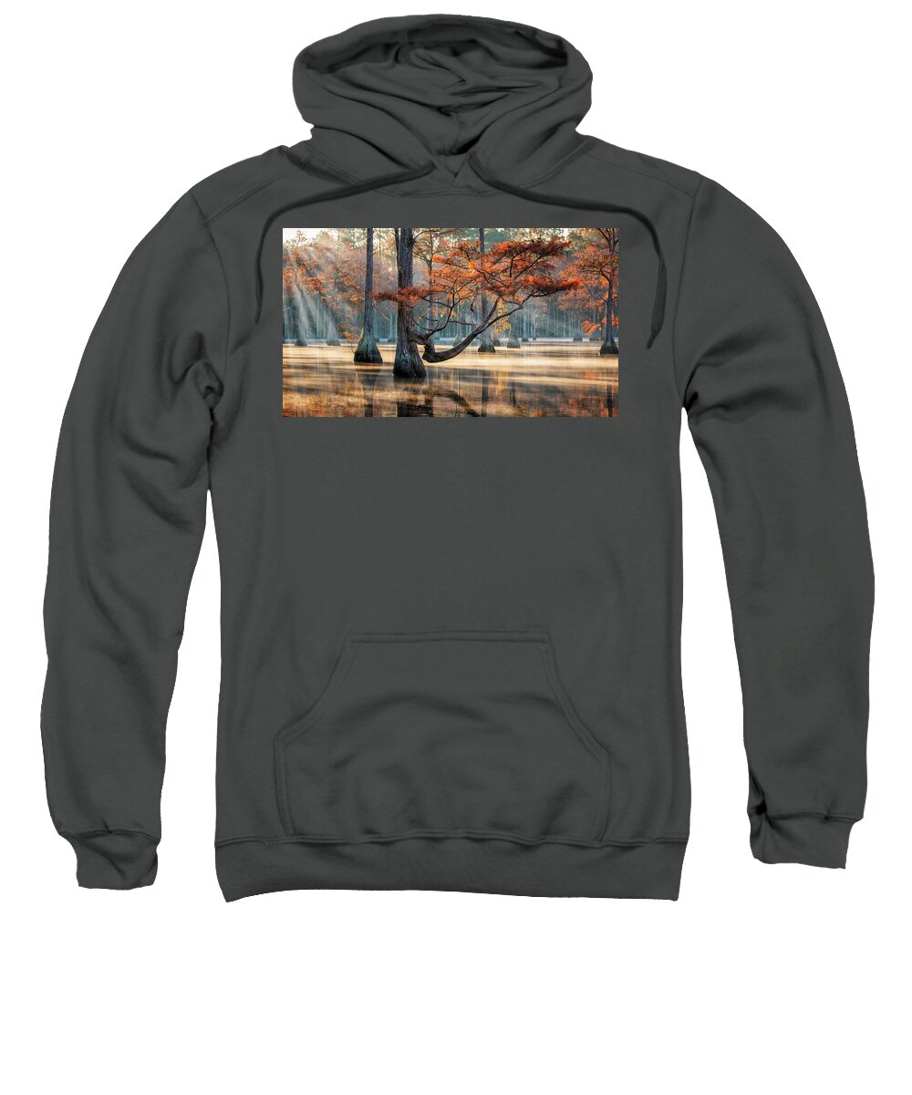 Abstract Sweatshirt featuring the photograph Golden Light at Cypress Swamp by Alex Mironyuk