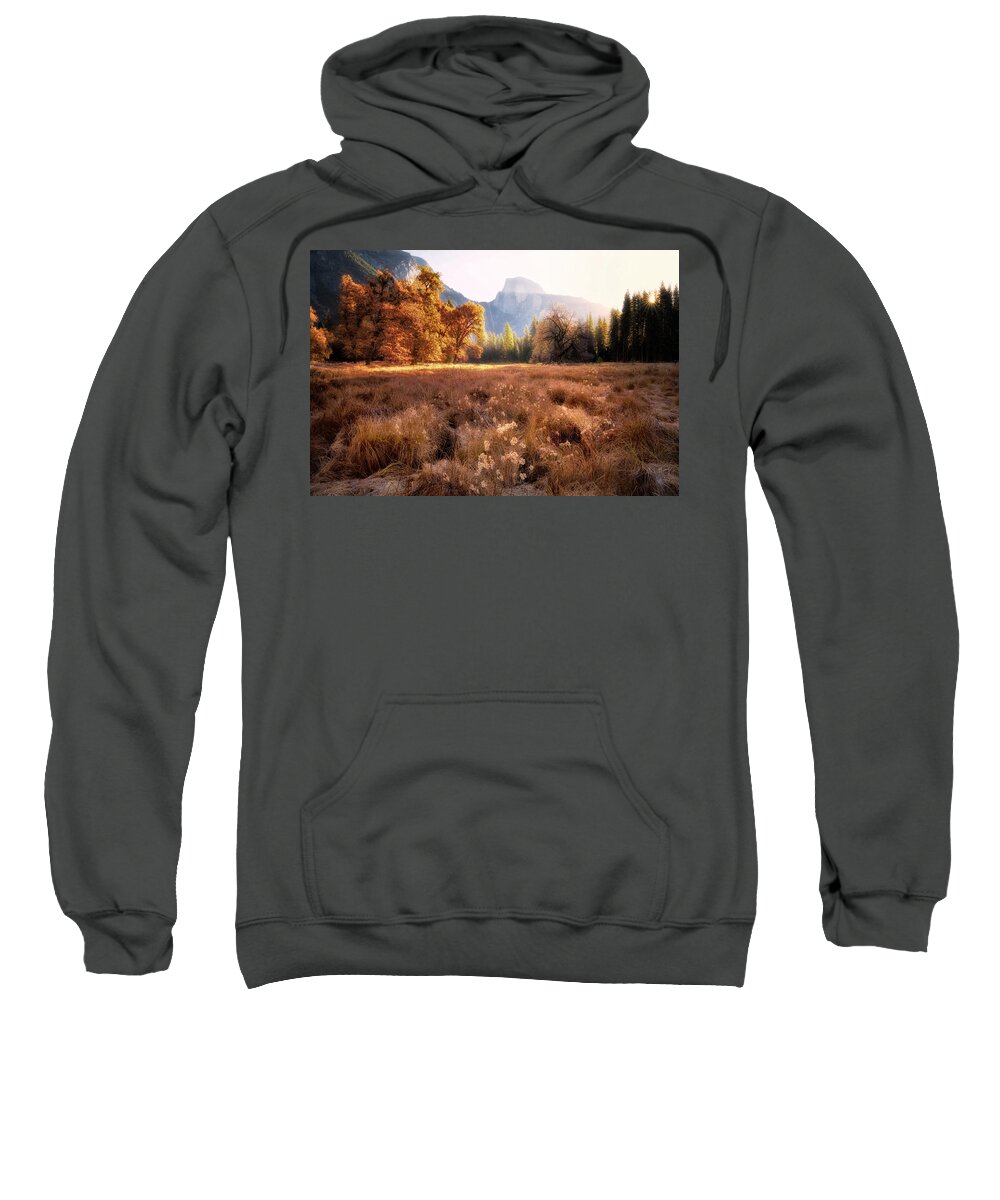 Sunrise Sweatshirt featuring the photograph Golden Oaks by Nicki Frates