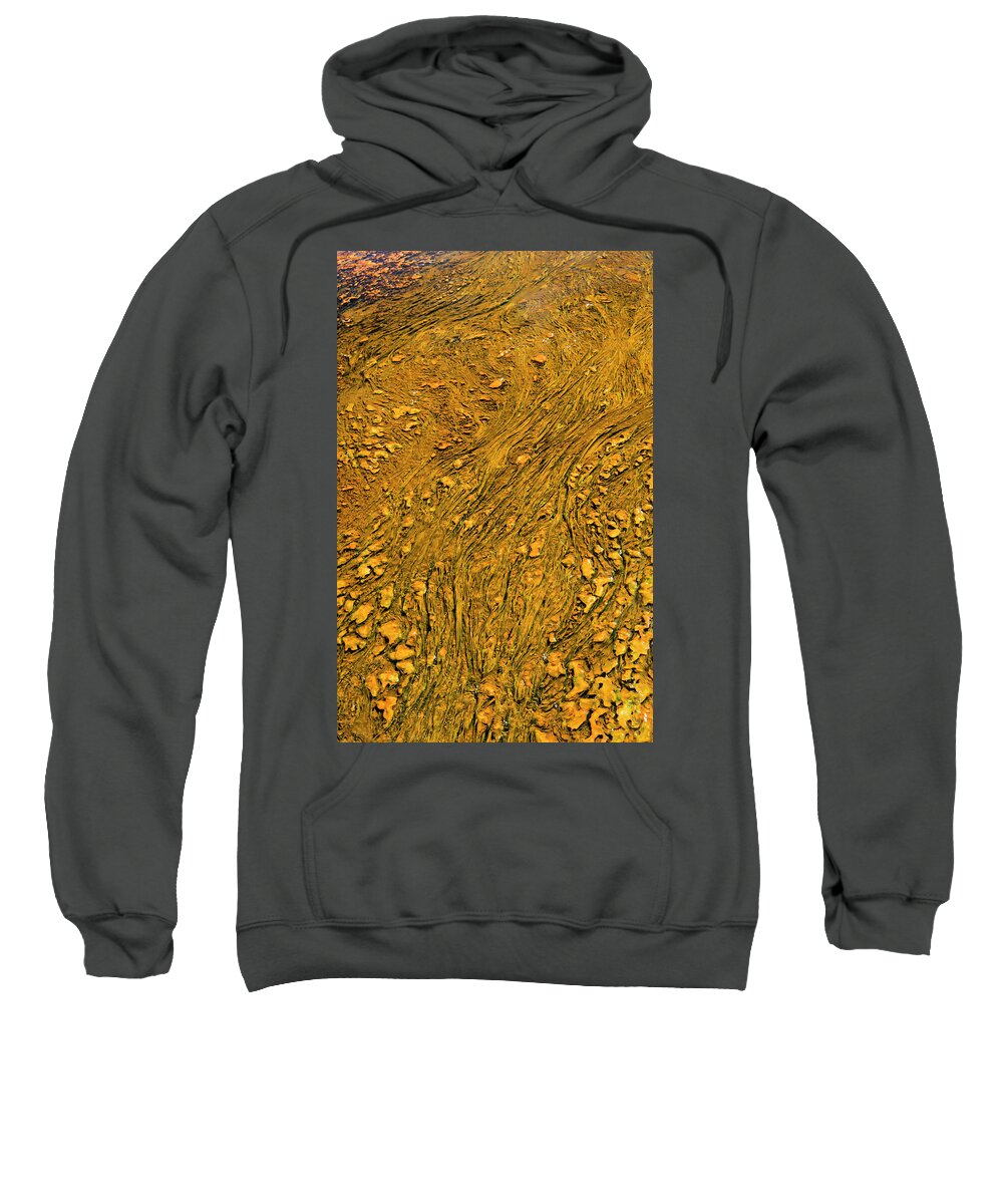 Wyoming Sweatshirt featuring the photograph Golden Threads by Norman Reid