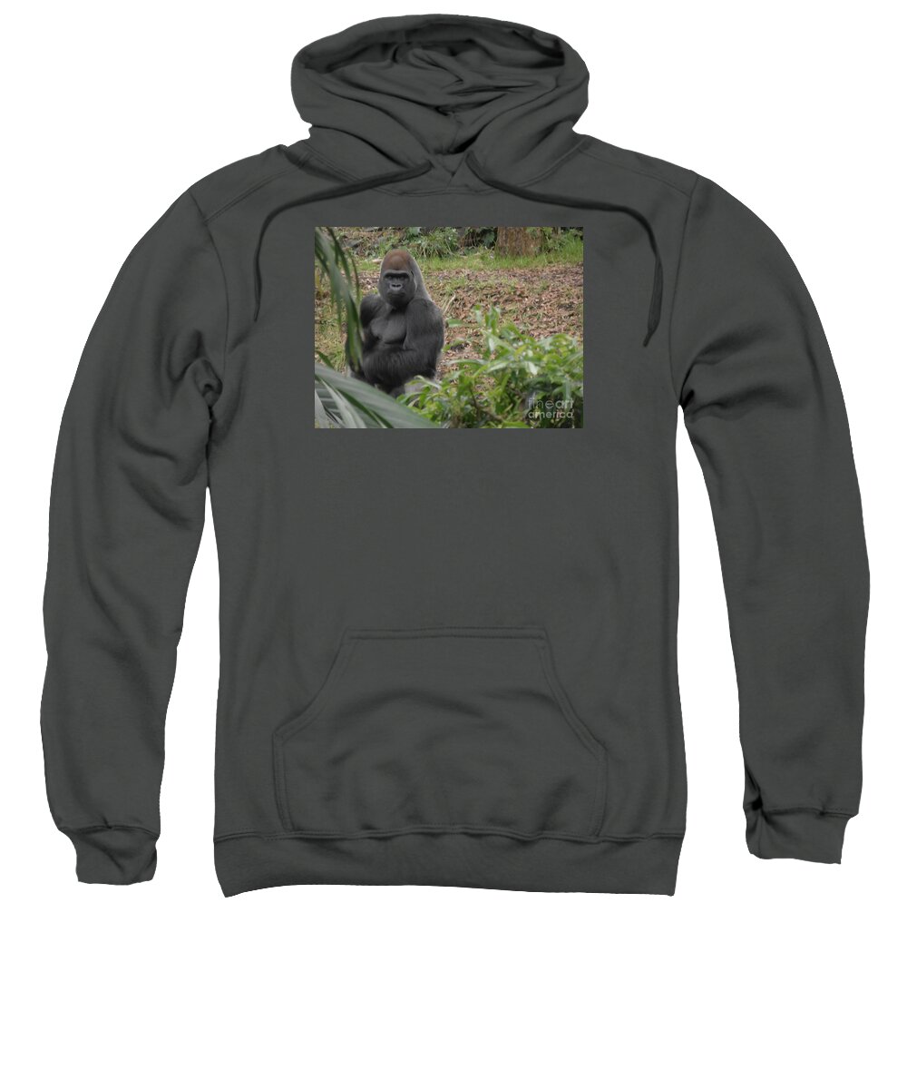 Animal Sweatshirt featuring the photograph Gorilla by Ash Nirale