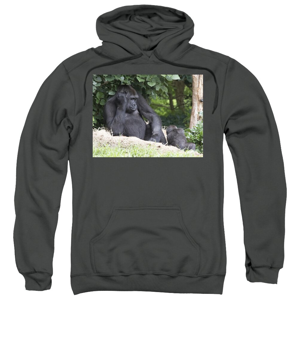 Mother Sweatshirt featuring the photograph Gorilla by Masami Iida