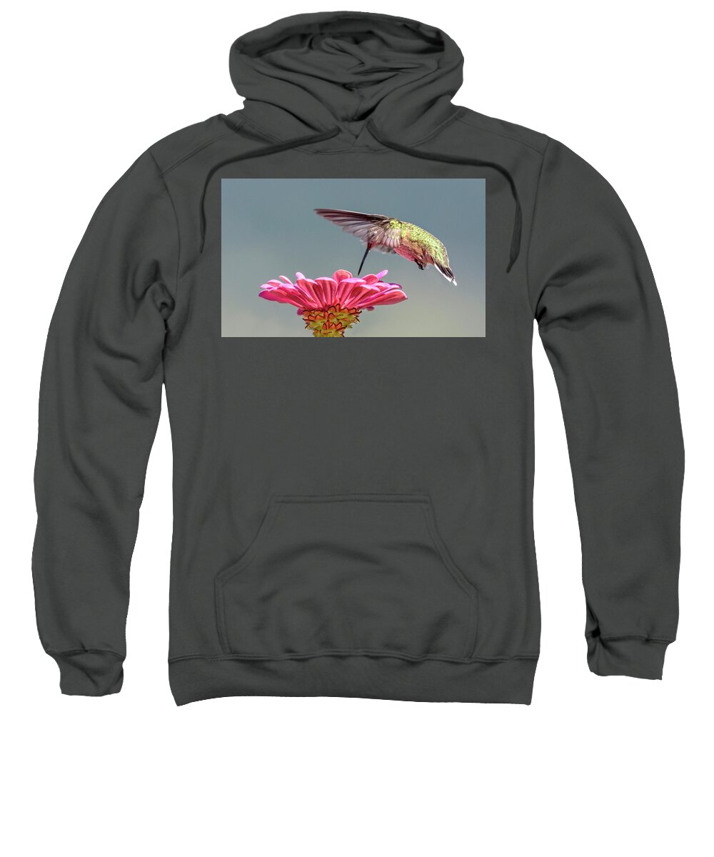 Gossamer Wings Sweatshirt featuring the photograph Gossamer Wings by Wes and Dotty Weber