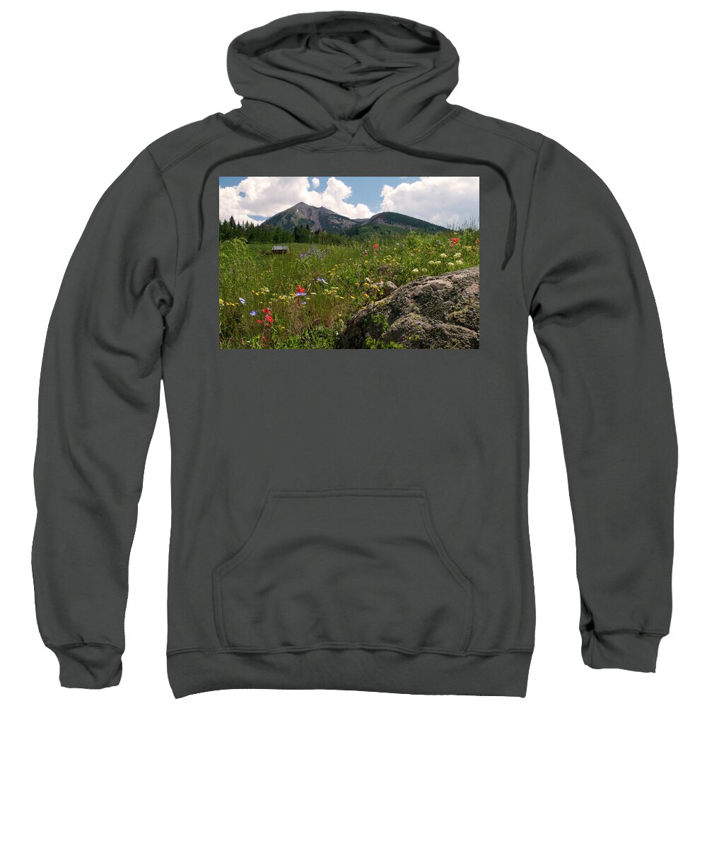 Colorado Sweatshirt featuring the photograph Gothic Summer by Julia McHugh
