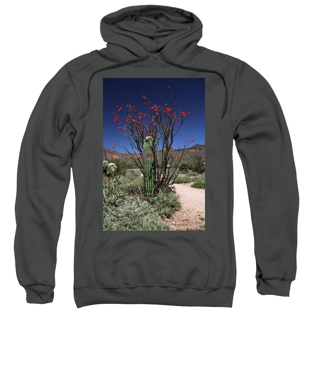 Arizona Sweatshirt featuring the photograph Grace and Strength by Hans Brakob