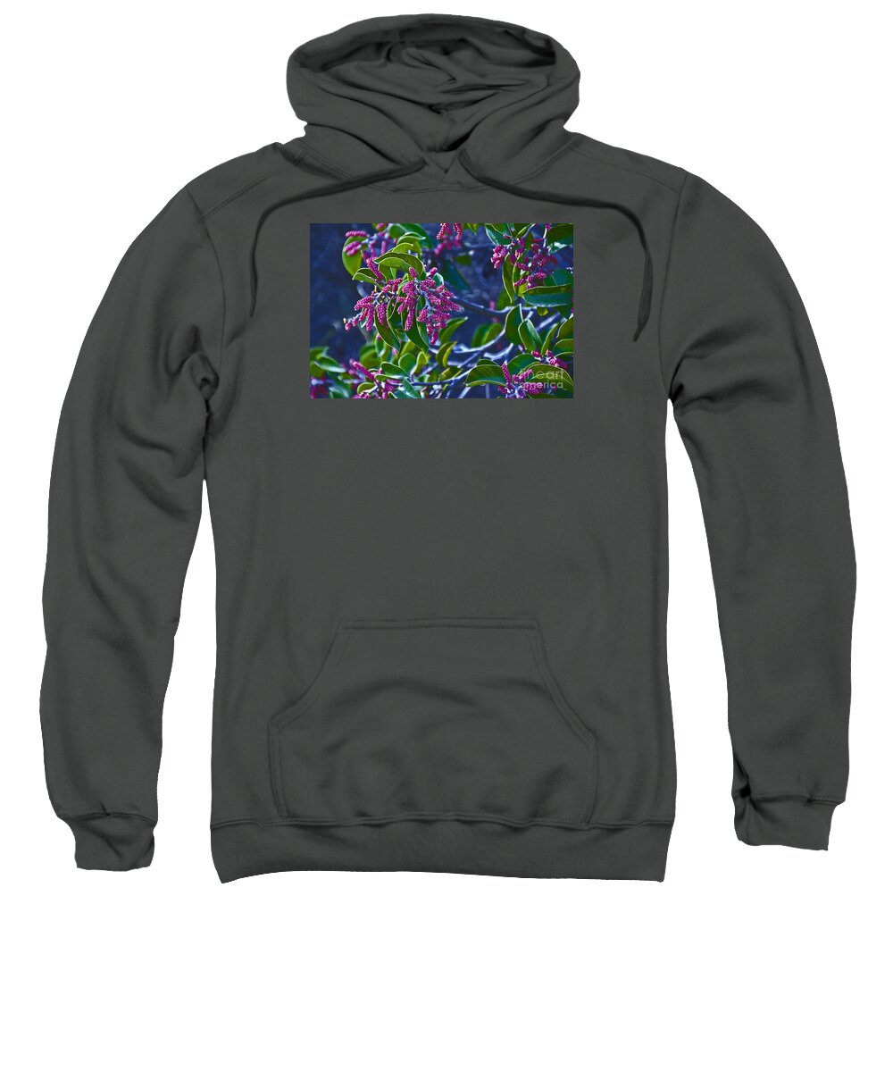  Sweatshirt featuring the photograph Grape Flowers by David Frederick