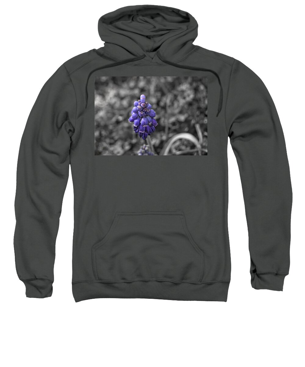 Grape Sweatshirt featuring the photograph Grape Hyacinth by Amber Flowers