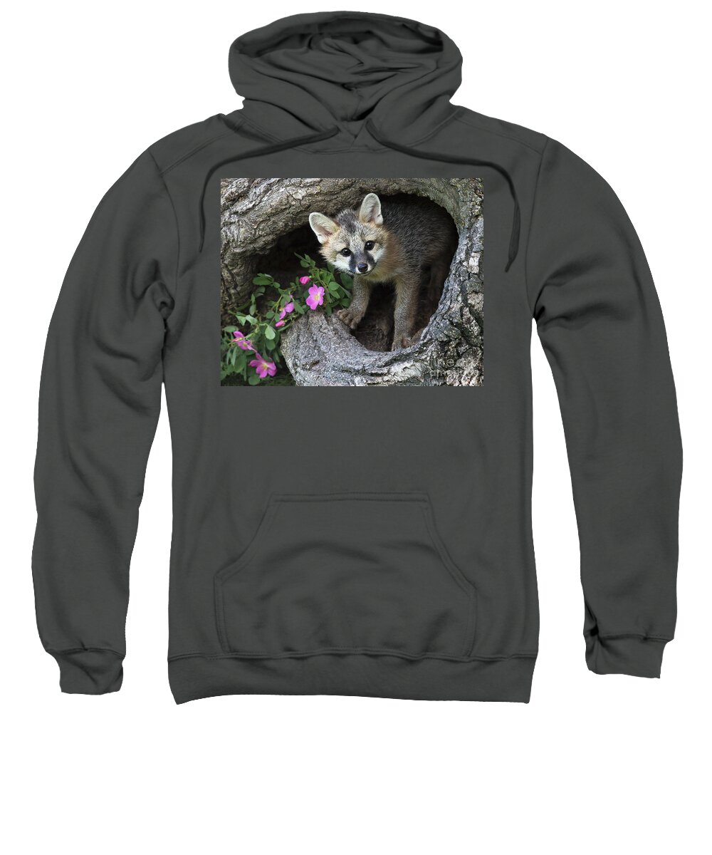 Gray Fox Sweatshirt featuring the photograph Gray Fox Kit by Art Cole