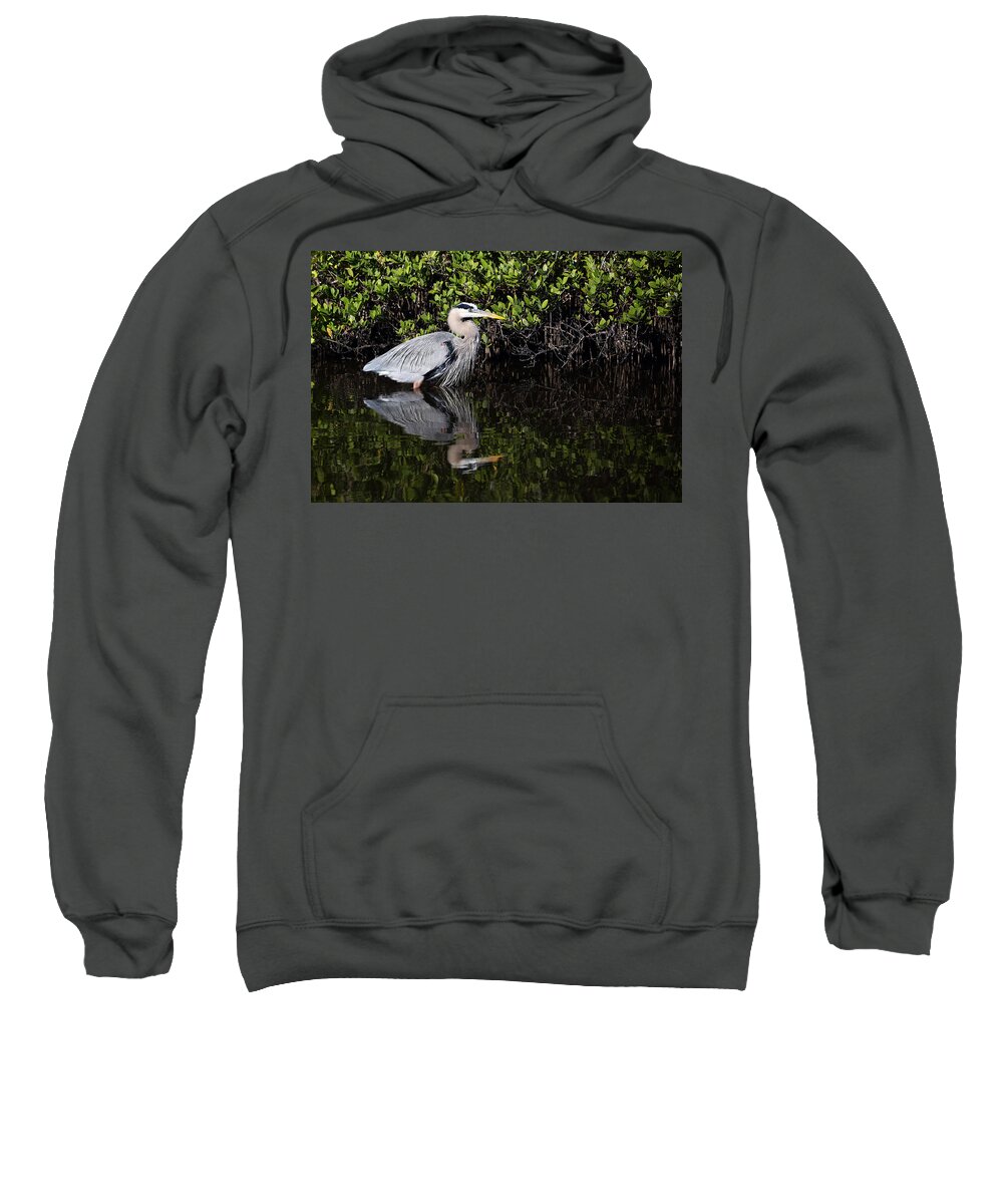 Ardea Hernia Sweatshirt featuring the photograph Great Blue Heron with Reflection by Jean Clark