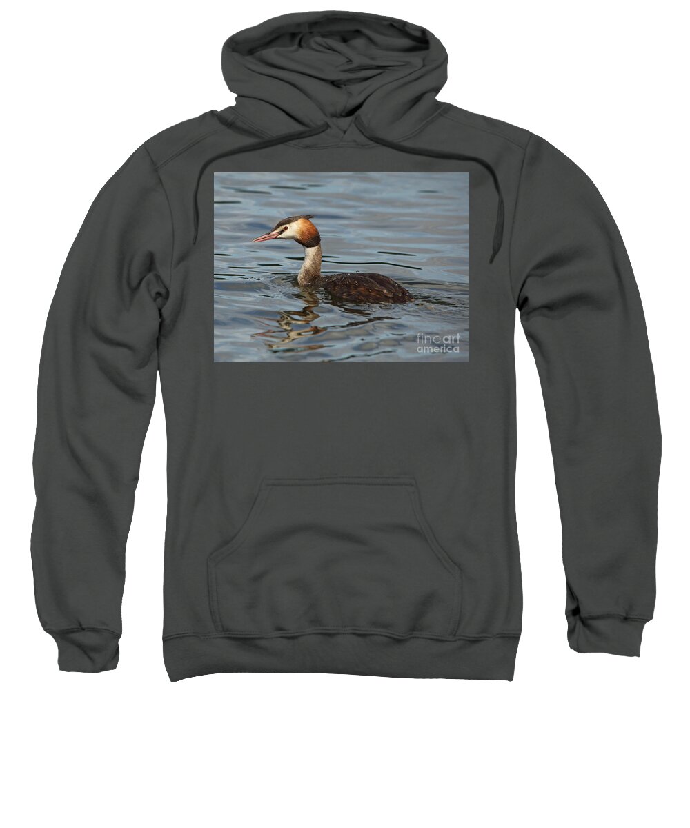 Great Crested Grebe Sweatshirt featuring the photograph Great Crested Grebe by Maria Gaellman