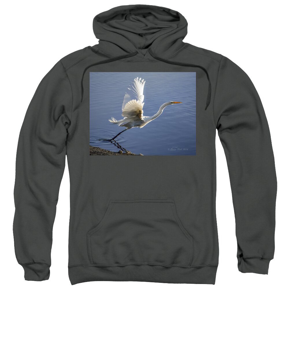 Nature Sweatshirt featuring the photograph Great Egret Taking Flight by Brian Tada
