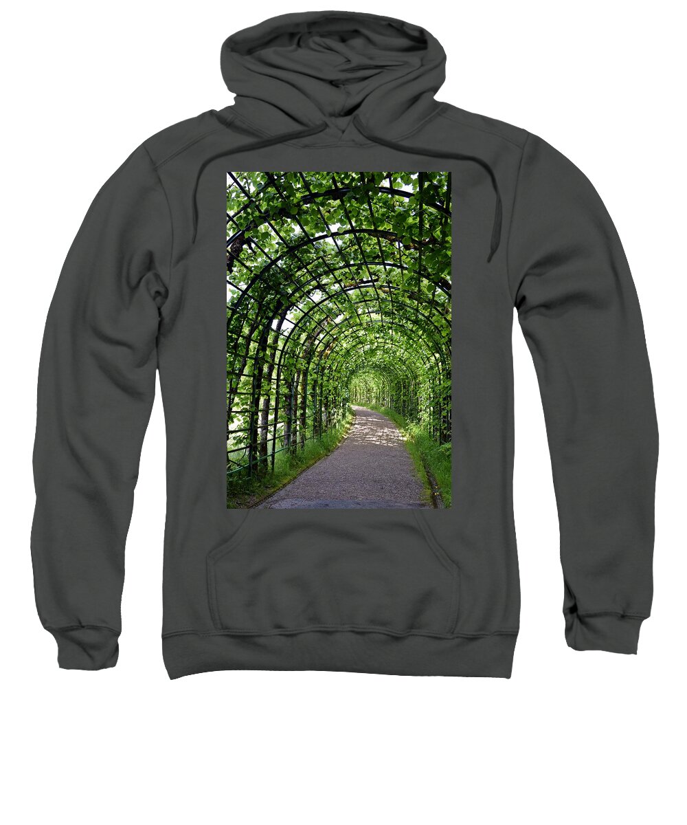 Green Sweatshirt featuring the photograph Green Pathway by Outside the door By Patt
