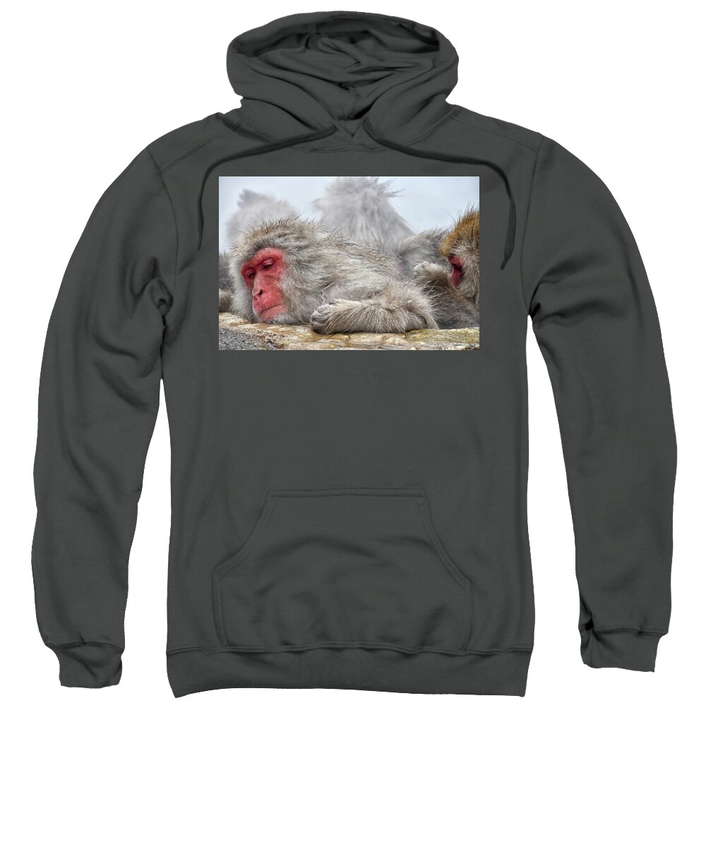 Snow Monkey Sweatshirt featuring the photograph Grooming by Kuni Photography