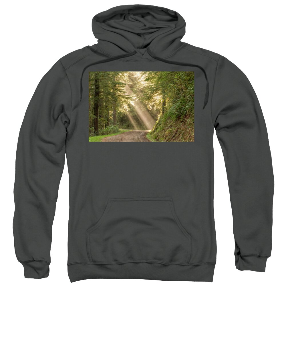 Cascade Head Sweatshirt featuring the photograph Guiding Light by Kristina Rinell