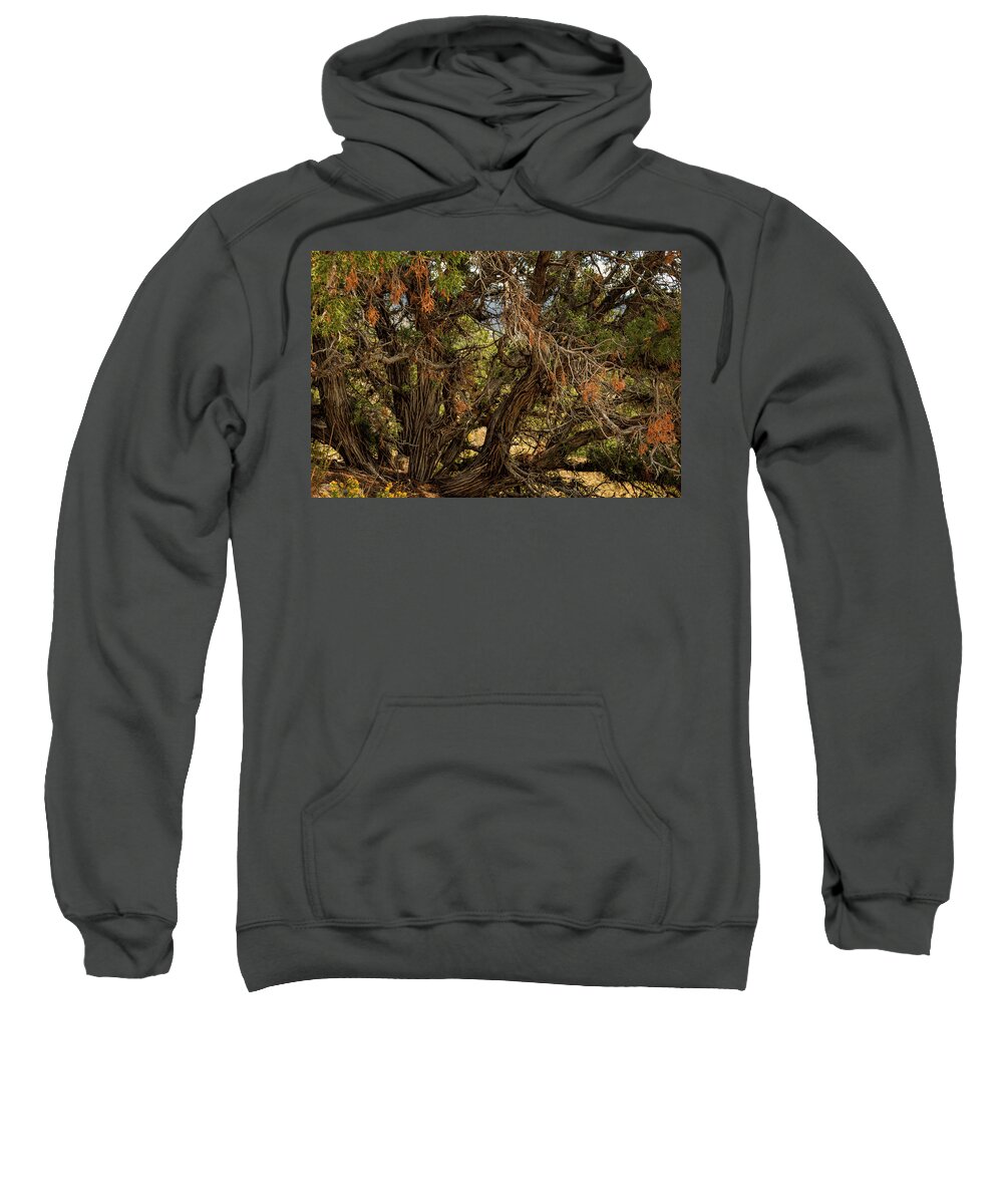 Nature Sweatshirt featuring the photograph Halloween Tree by Michael McKenney