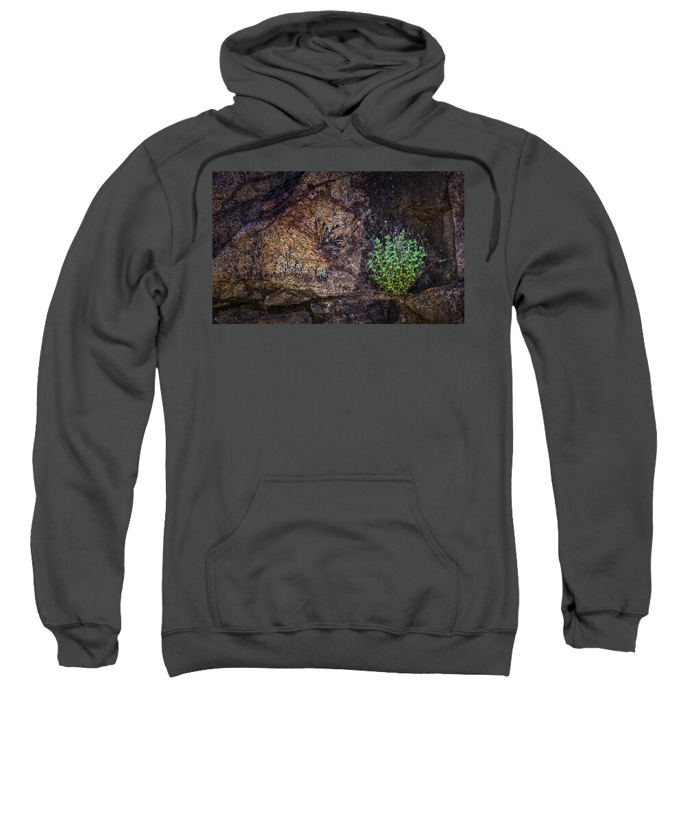 Southwest Sweatshirt featuring the photograph Hangin' Tough by Paul Bartell