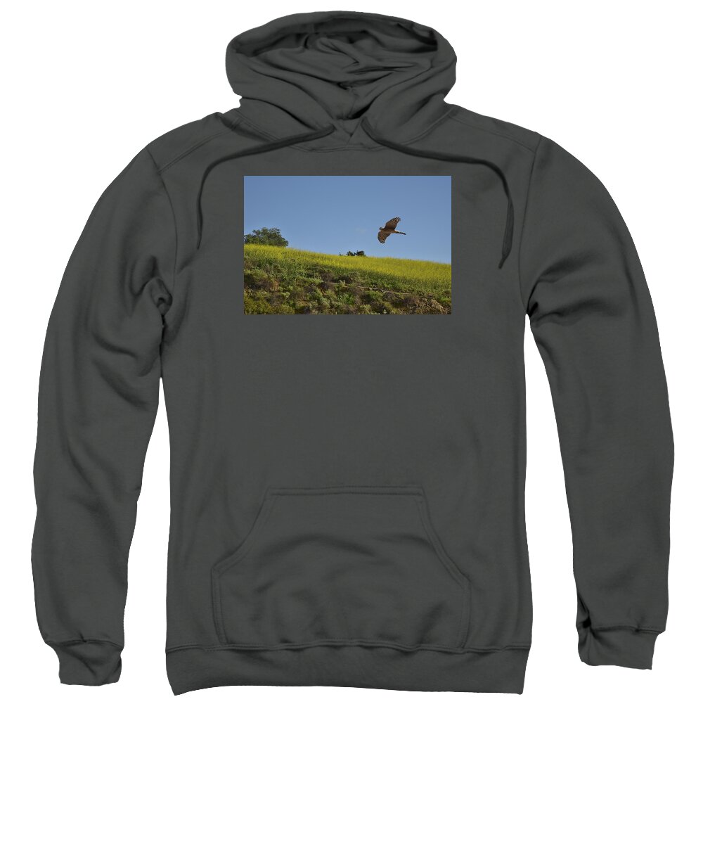 Linda Brody Sweatshirt featuring the photograph Hawk Flying over Field of Yellow Mustard by Linda Brody
