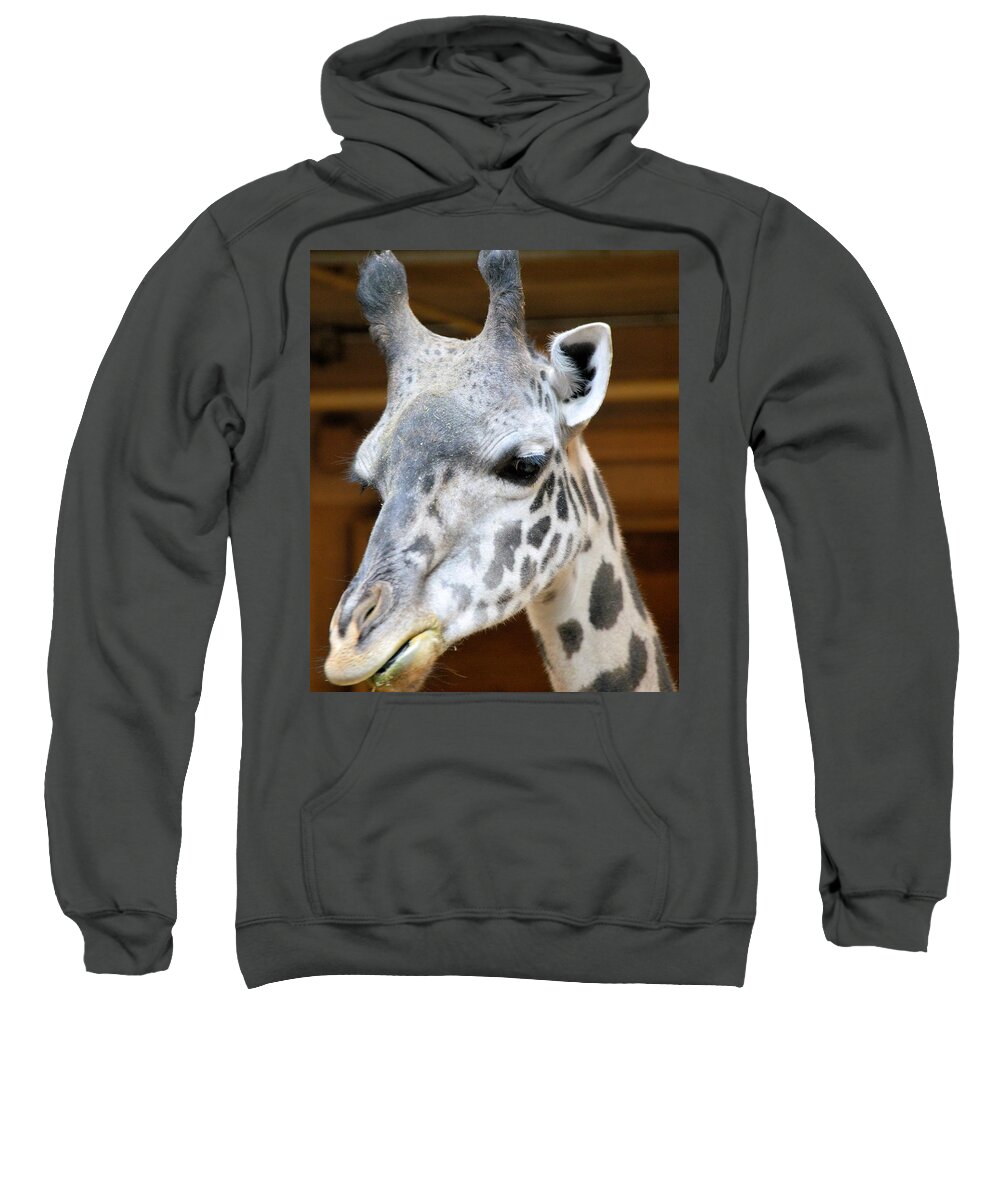 Animals Sweatshirt featuring the photograph Heads Up by Charles HALL