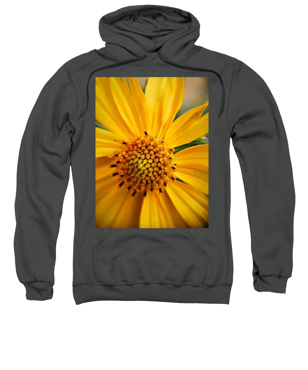 Sunflower Sweatshirt featuring the photograph Heart and Soul by Brad Hodges