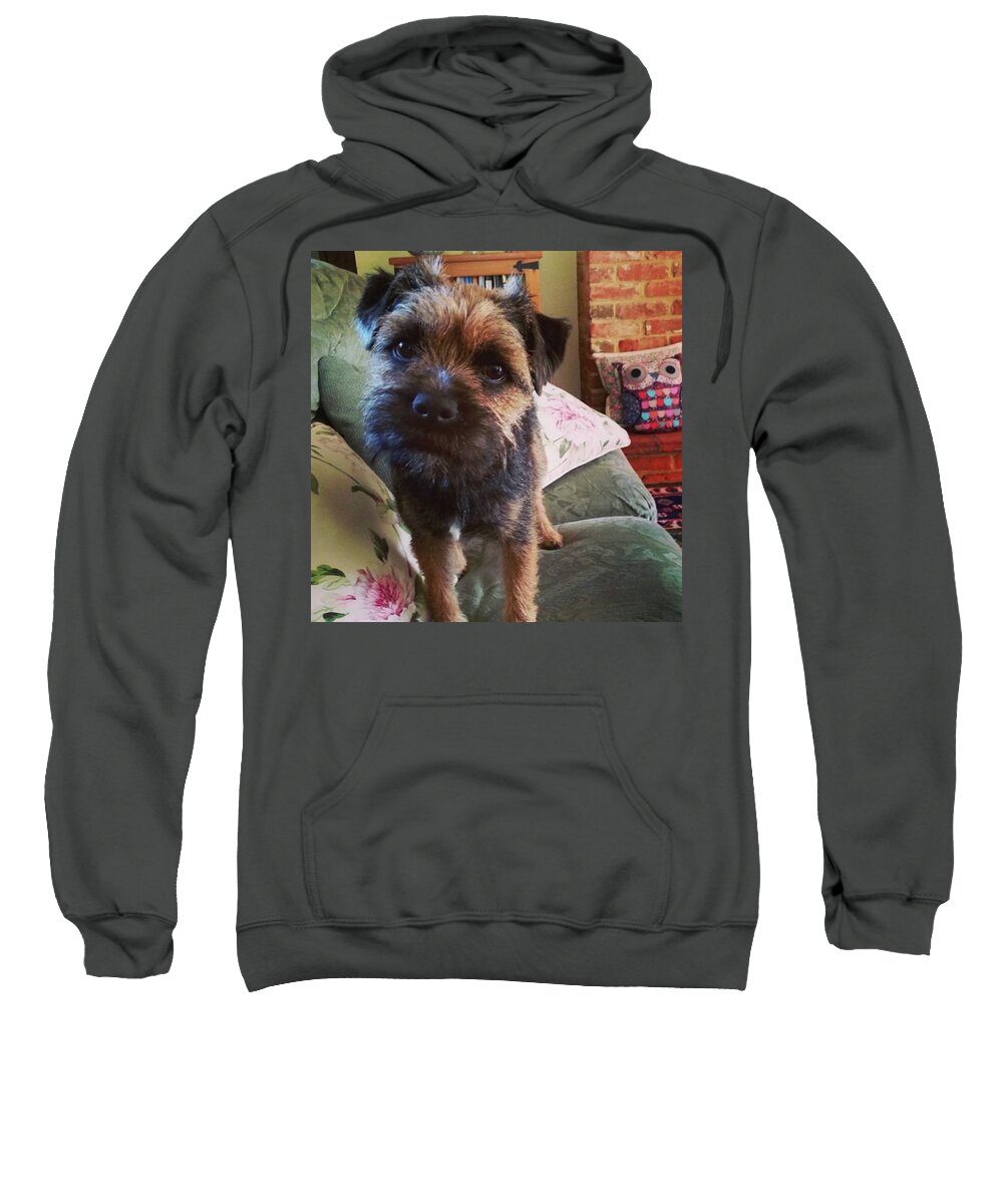 Dog Sweatshirt featuring the photograph Hello by Rowena Tutty