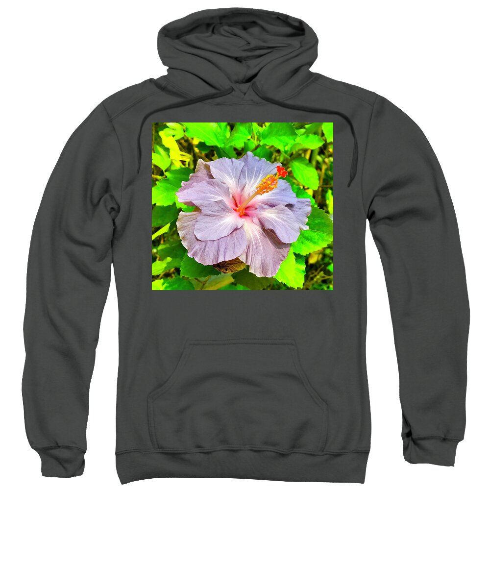 Hibiscus Adele 1 Flowers Of Aloha Lavender Sweatshirt featuring the photograph Hibiscus Adele 1 by Joalene Young
