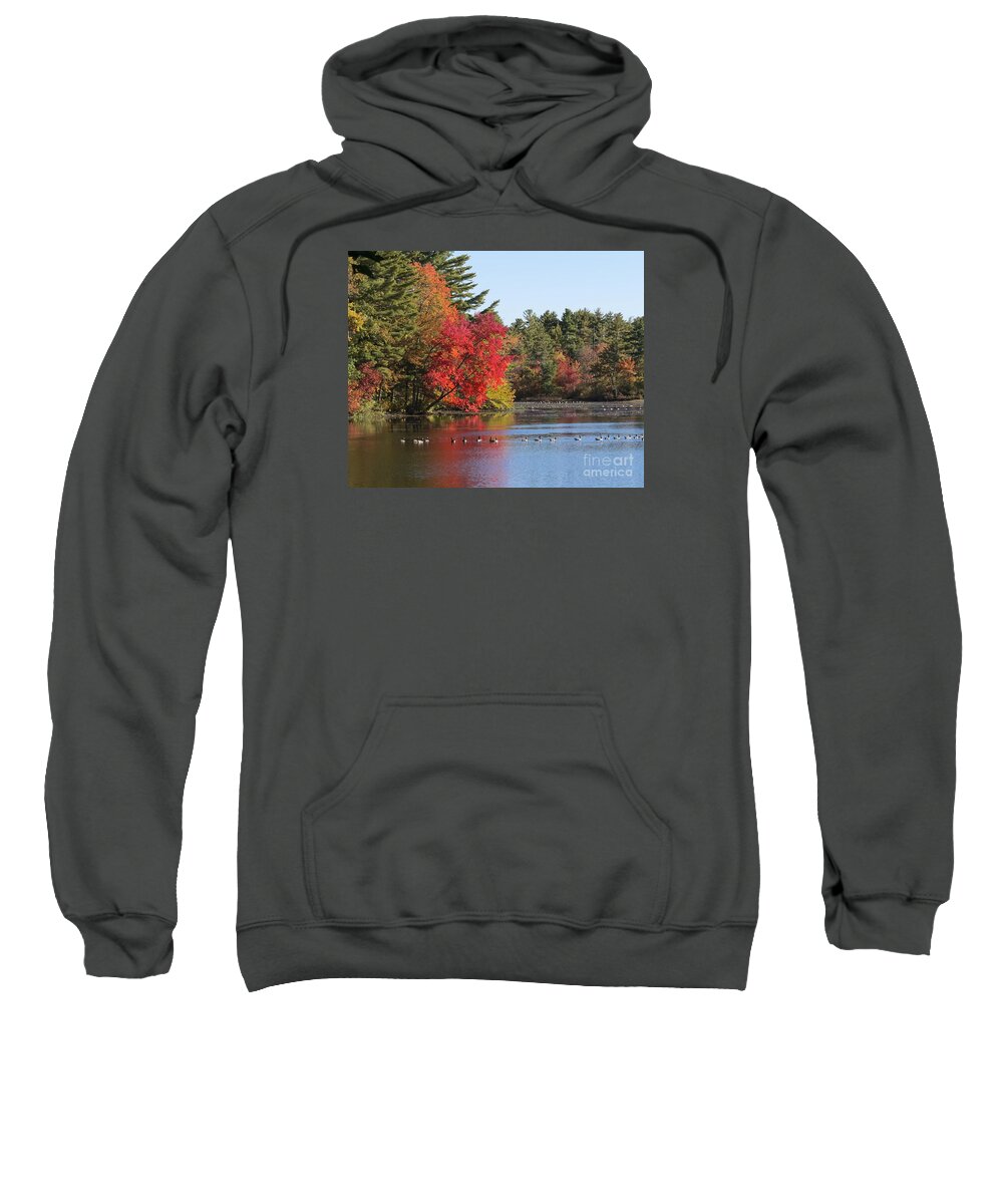 Fall Foliage Sweatshirt featuring the photograph High Season by Lili Feinstein
