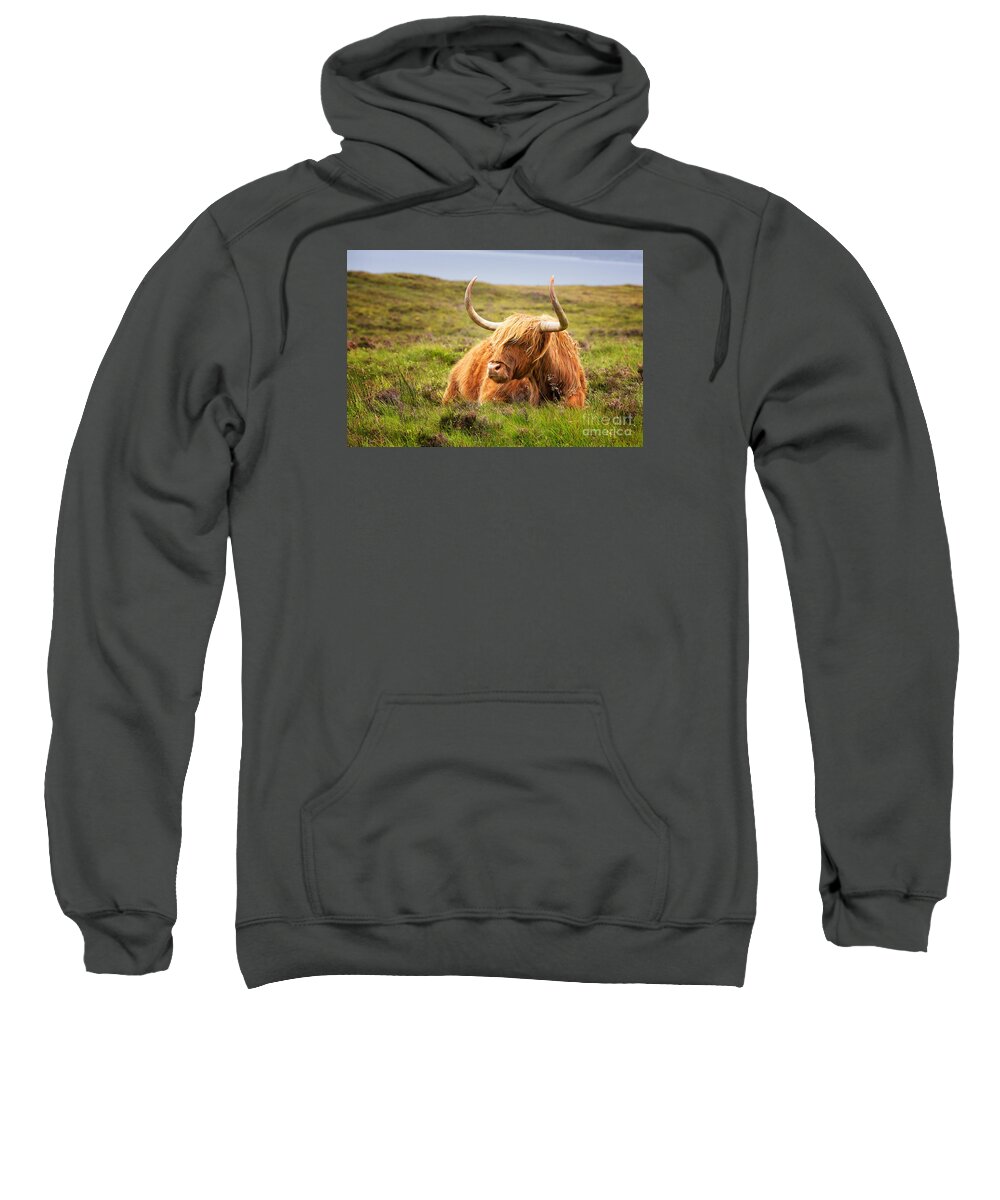 Highland Sweatshirt featuring the photograph Highland cow by Jane Rix
