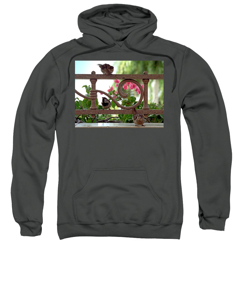 Sparrow Sweatshirt featuring the photograph His Eye is on the Sparrow by Marie Hicks
