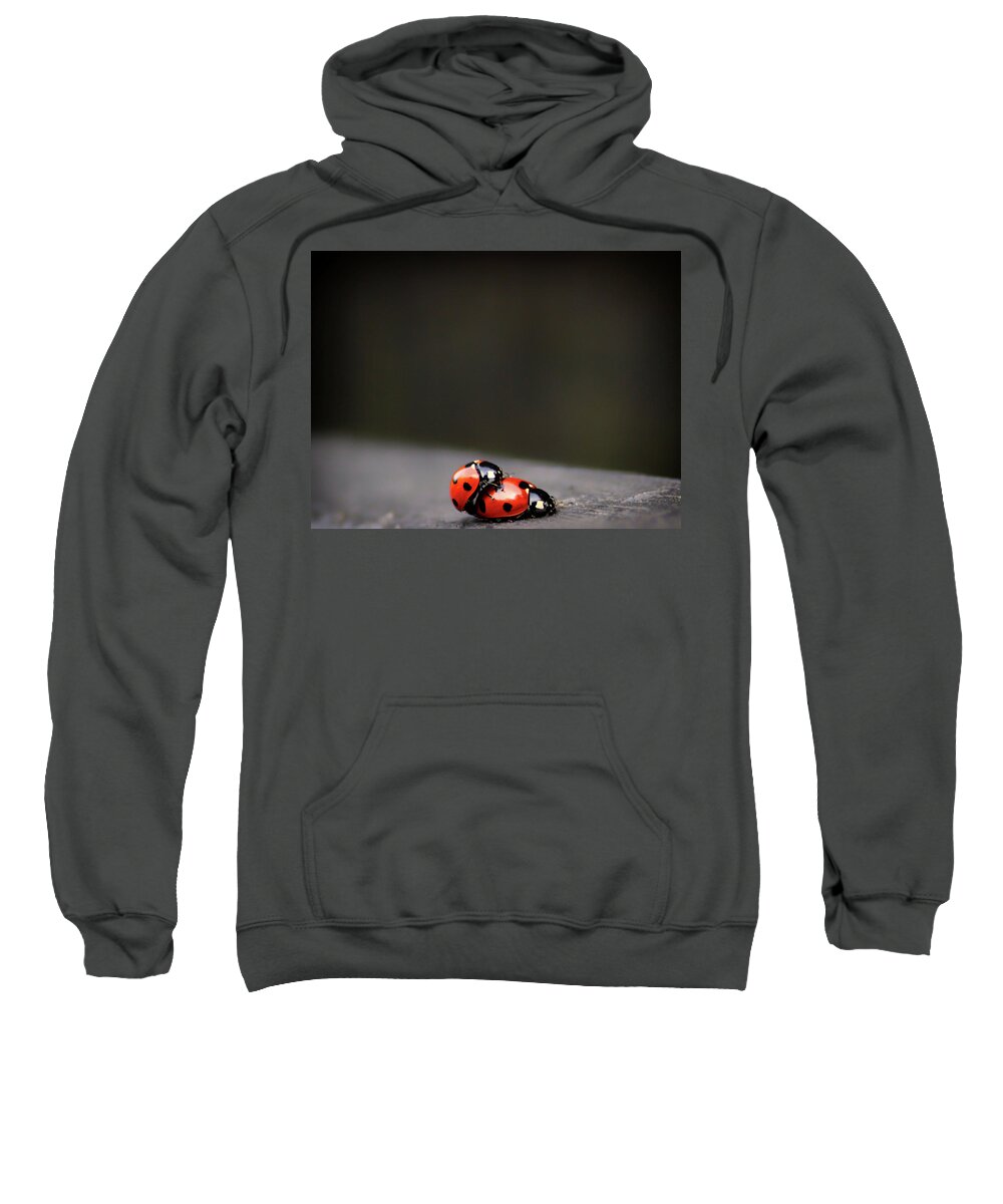 Ladybird Sweatshirt featuring the photograph Hitching a ride by Martin Newman