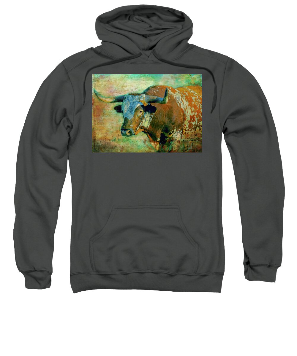 Texas Longhorns Sweatshirt featuring the digital art Hook 'Em 1 by Colleen Taylor