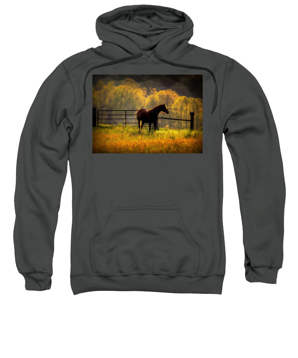 Southern Indiana Todd Carter Hope's In The Field Spring April May Brown Orange Yellow Green Black Grass Weed Weeds Tree Trees Fence Wooden Woods Sweatshirt featuring the photograph Hope's In The Field by Todd Carter
