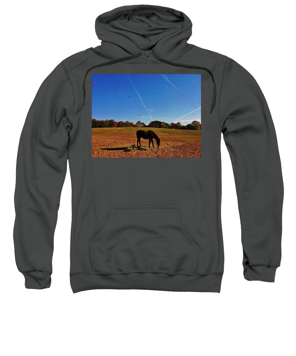 Horse Sweatshirt featuring the photograph Horse Farm in the Fall by Ed Sweeney
