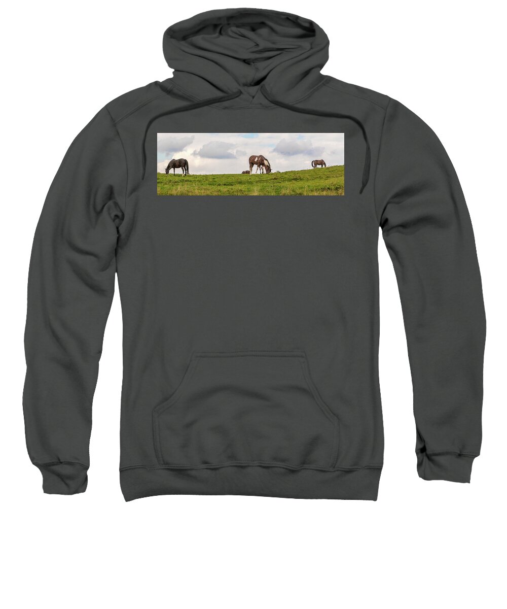 Horses Sweatshirt featuring the photograph Horses and Clouds by D K Wall