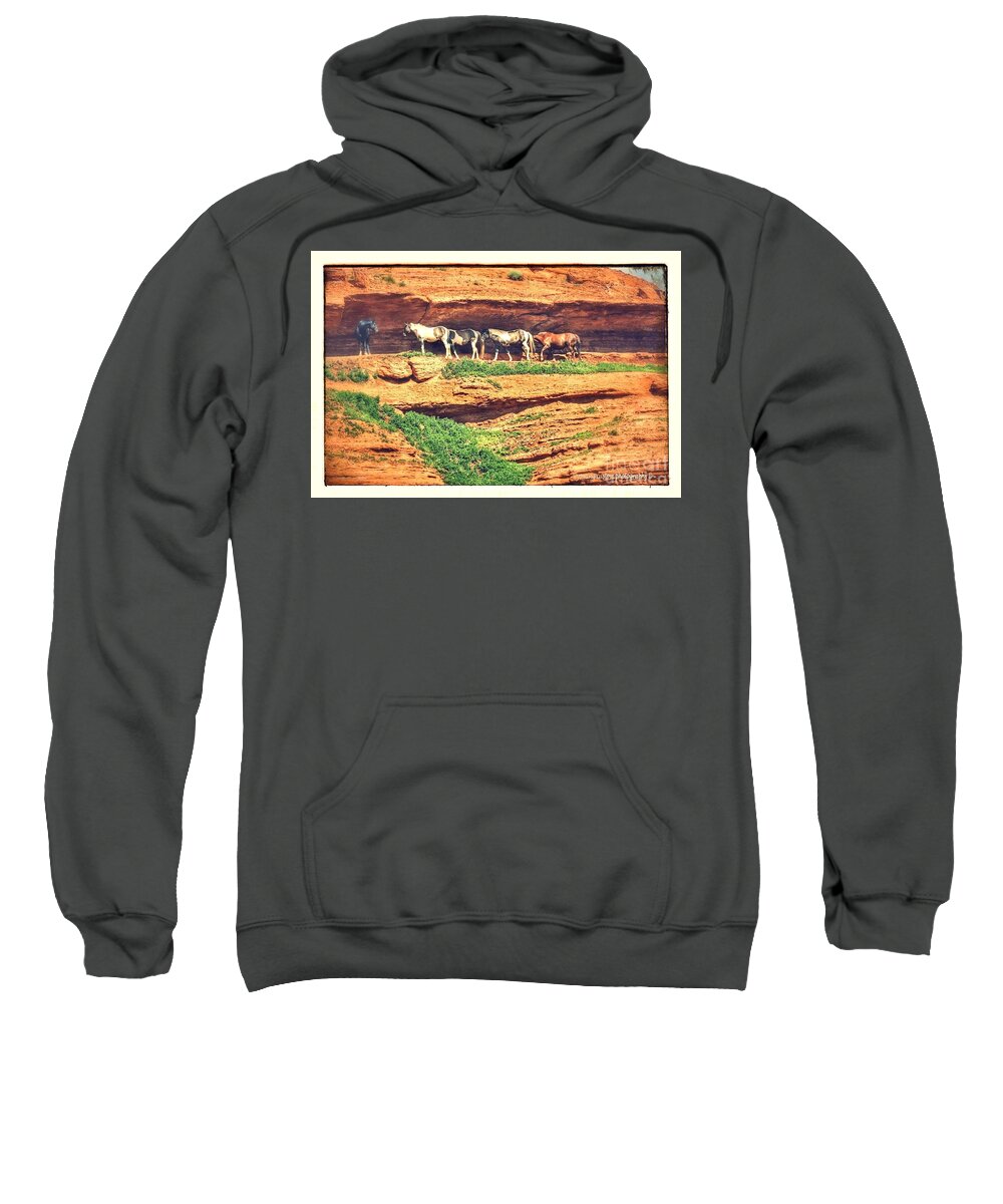 Red Cliffs Sweatshirt featuring the photograph Horses basking in the sun by Carole Martinez
