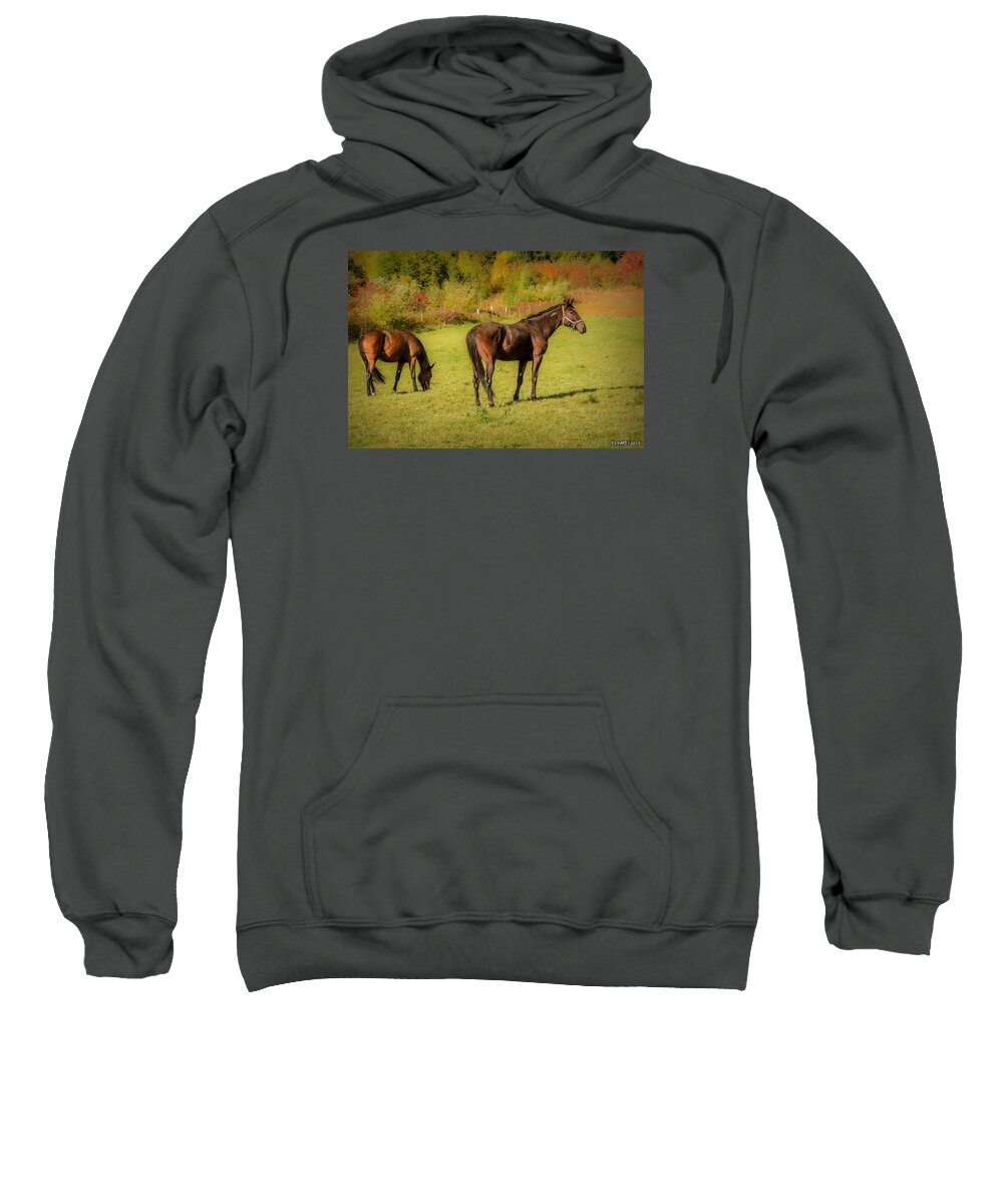 Horses Sweatshirt featuring the photograph Horses in Mabou by Ken Morris