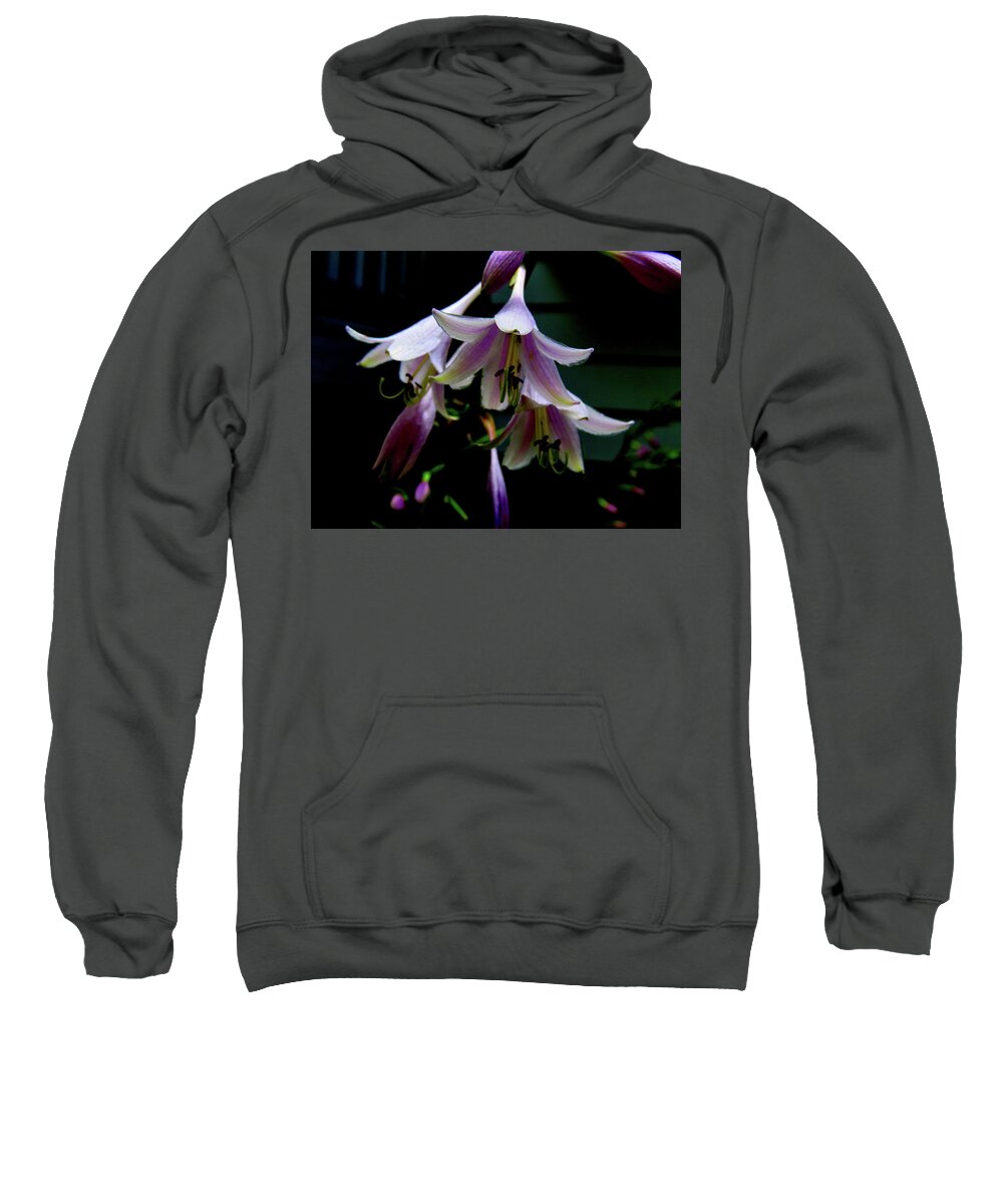 Purple Blossoms Sweatshirt featuring the photograph Hostas Blossoms by Linda Stern