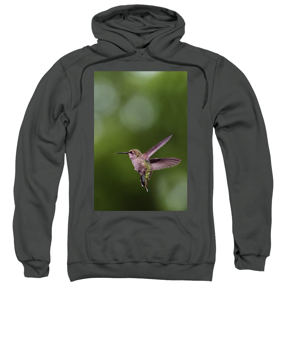 Hummingbirds Sweatshirt featuring the photograph Hummingbird #1 by David Lunde