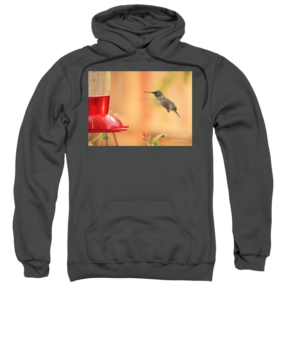 Hummingbird Sweatshirt featuring the photograph Hummingbird and Feeder by Carol Groenen