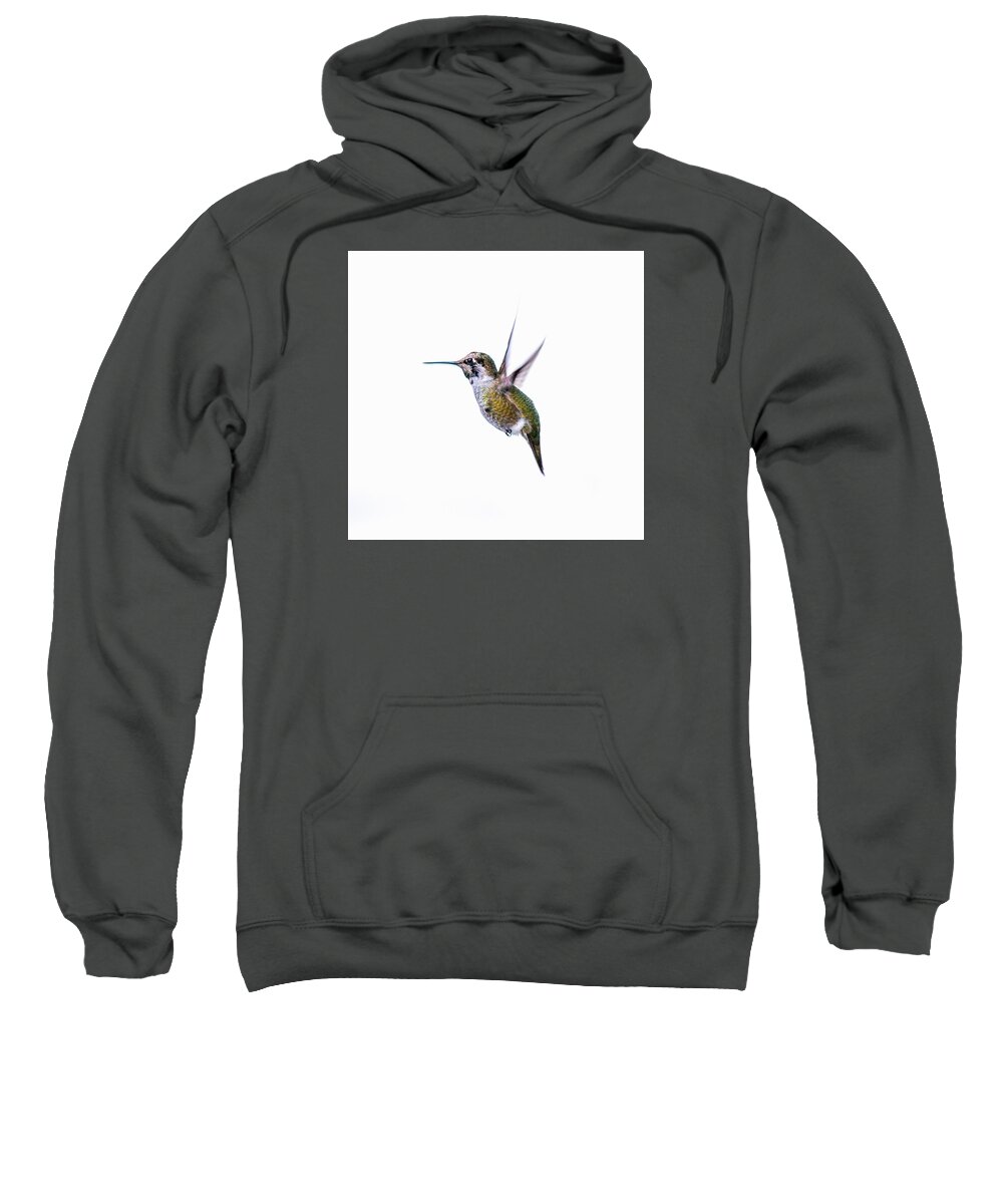 Nature Photography Sweatshirt featuring the photograph Hummingbird in Flight by E Faithe Lester