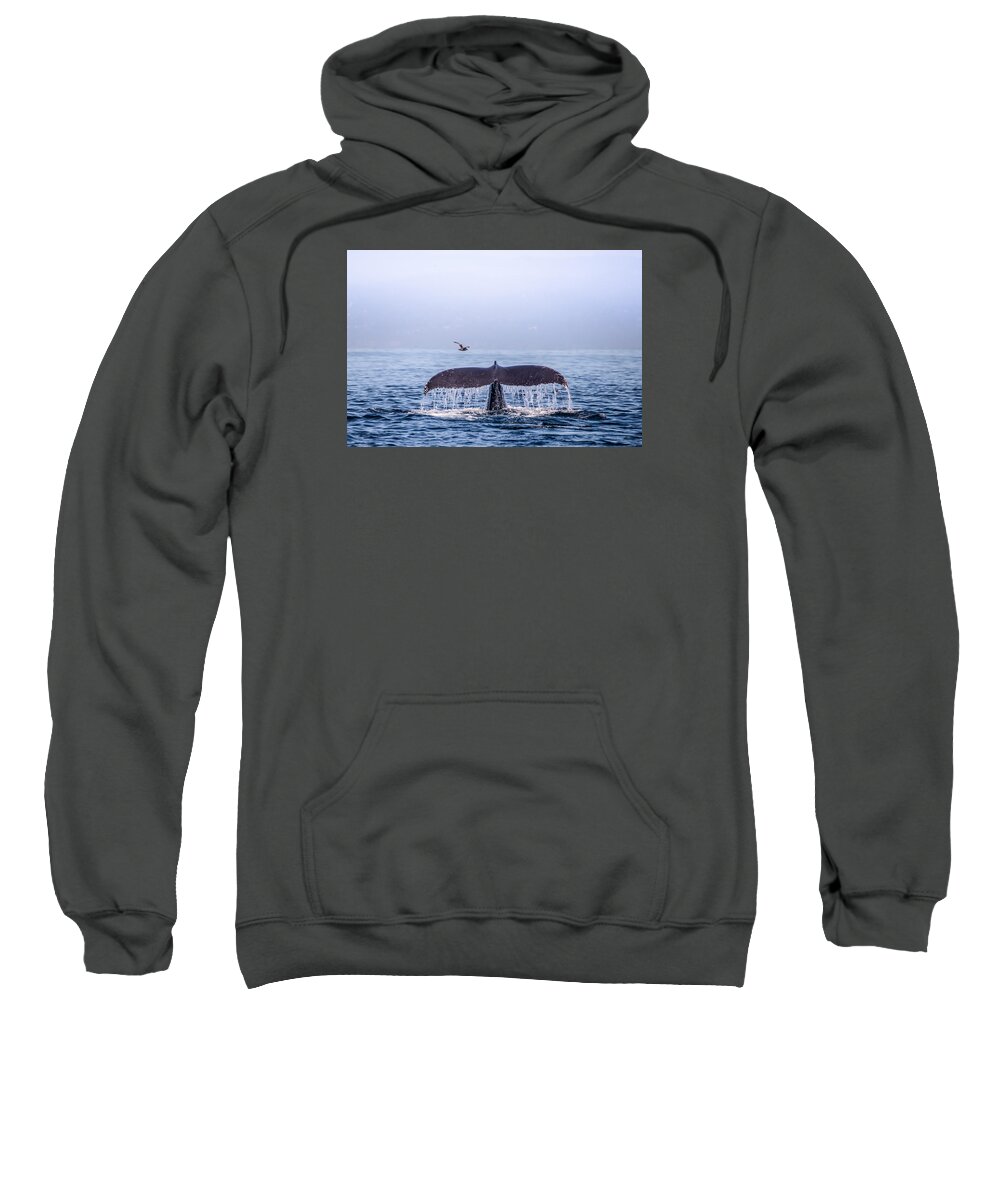 Whale Sweatshirt featuring the photograph Humpback Whale Flukes by Janis Knight