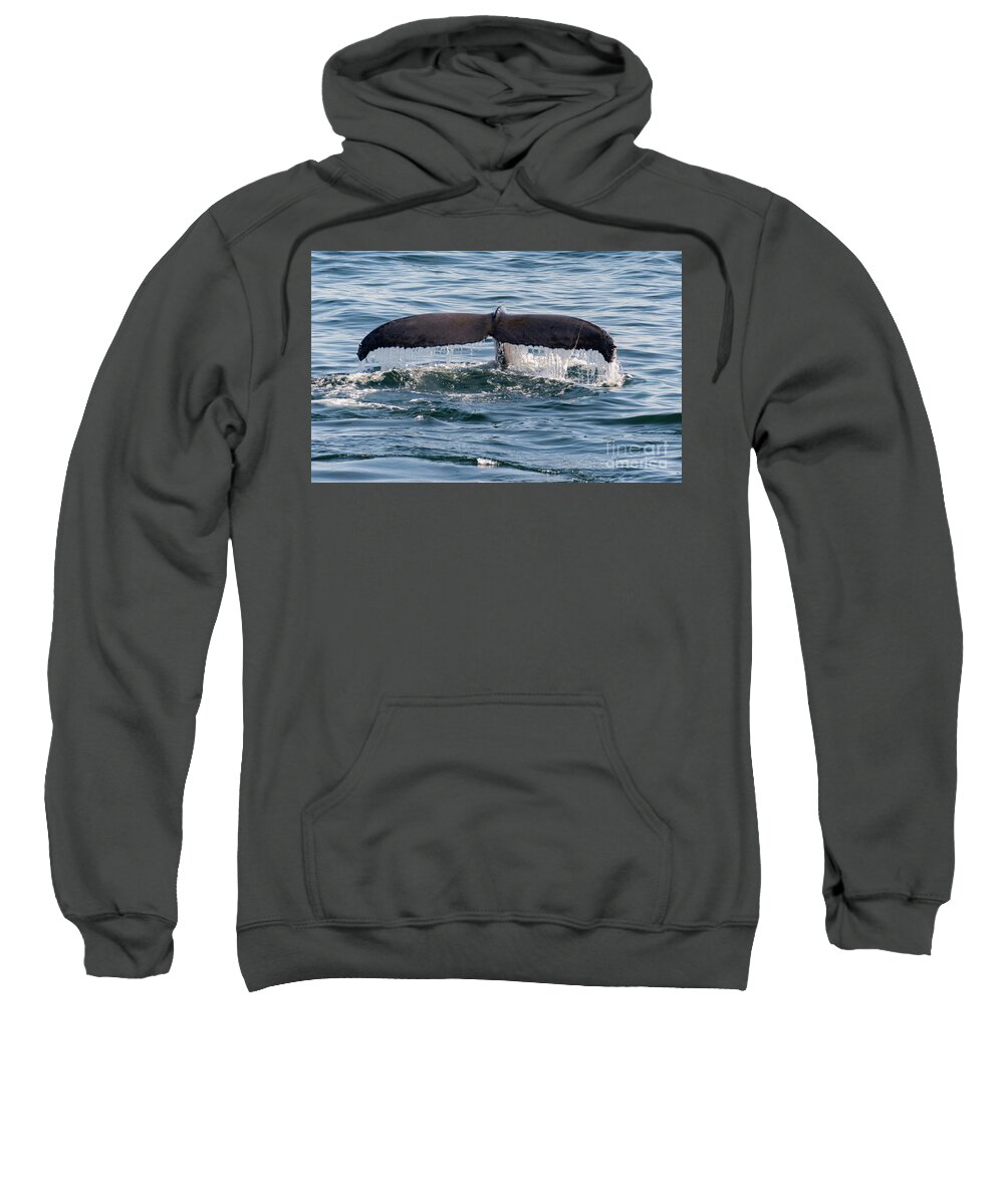 Humpback Sweatshirt featuring the photograph Humpback Whale Flukes by Lorraine Cosgrove