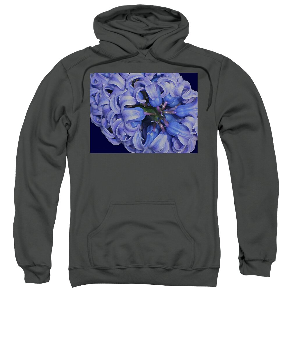 Flower Sweatshirt featuring the digital art Hyacinth Curls by Lynda Lehmann