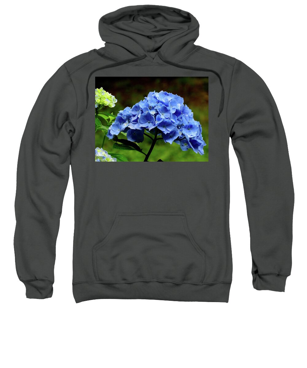 Hydrangea Sweatshirt featuring the photograph Hydrangea in Blue by Linda Stern