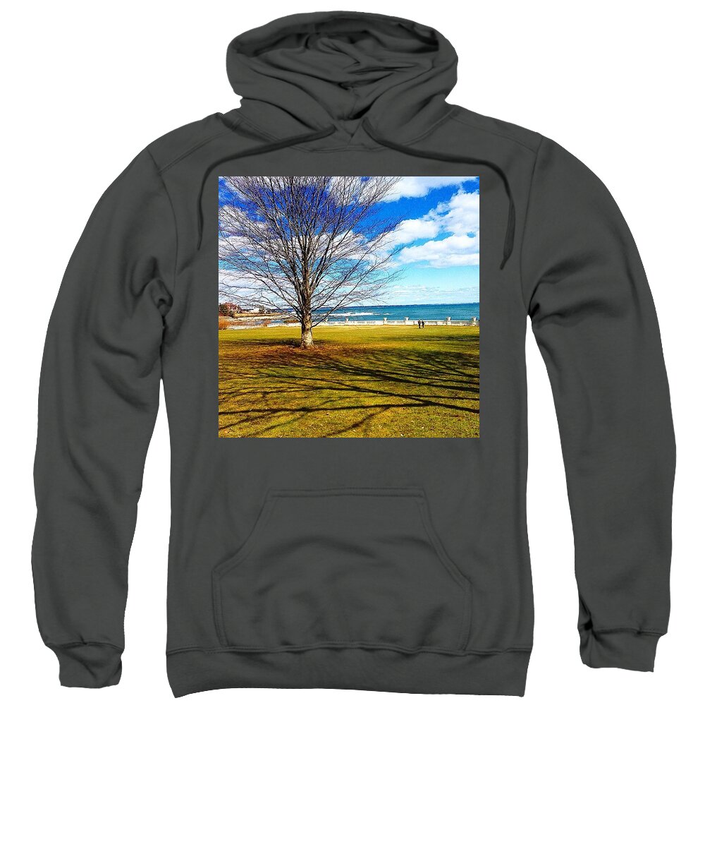 Tree Sweatshirt featuring the photograph A Backyard View by Kate Arsenault 