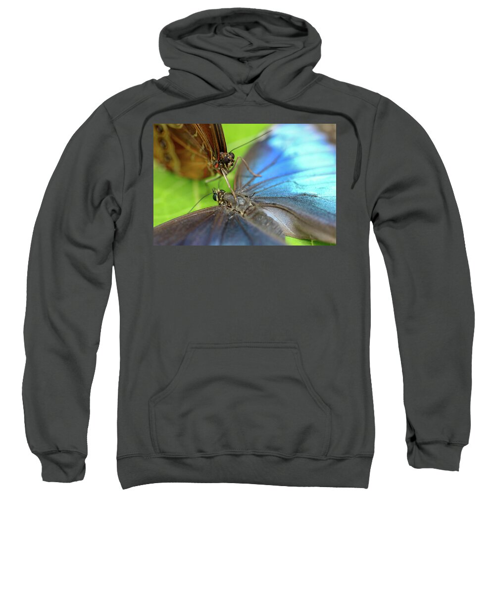 Butterfly Sweatshirt featuring the photograph I Got Your Back by Mary Anne Delgado