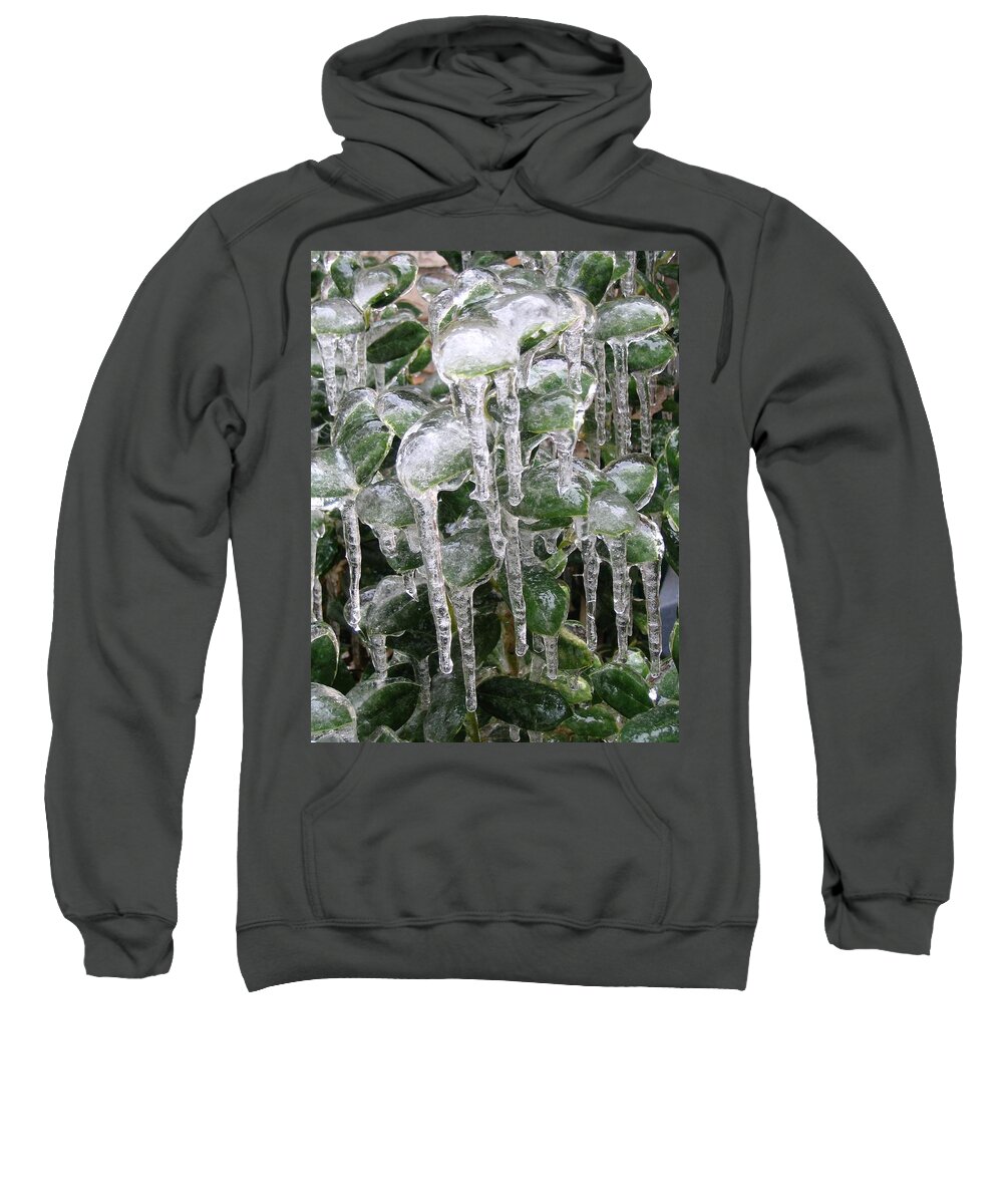 Ice Sweatshirt featuring the photograph Ice Leaves by Annekathrin Hansen