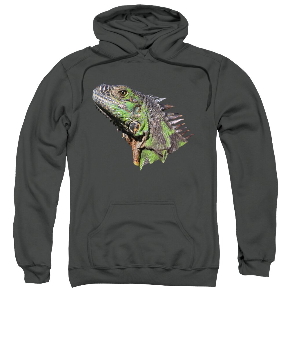Iguana Sweatshirt featuring the photograph Iguana by Shane Bechler