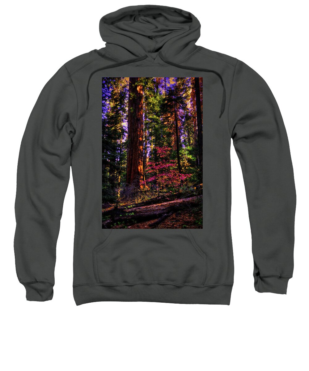 California Sweatshirt featuring the photograph In the Giant Forest by Roger Passman