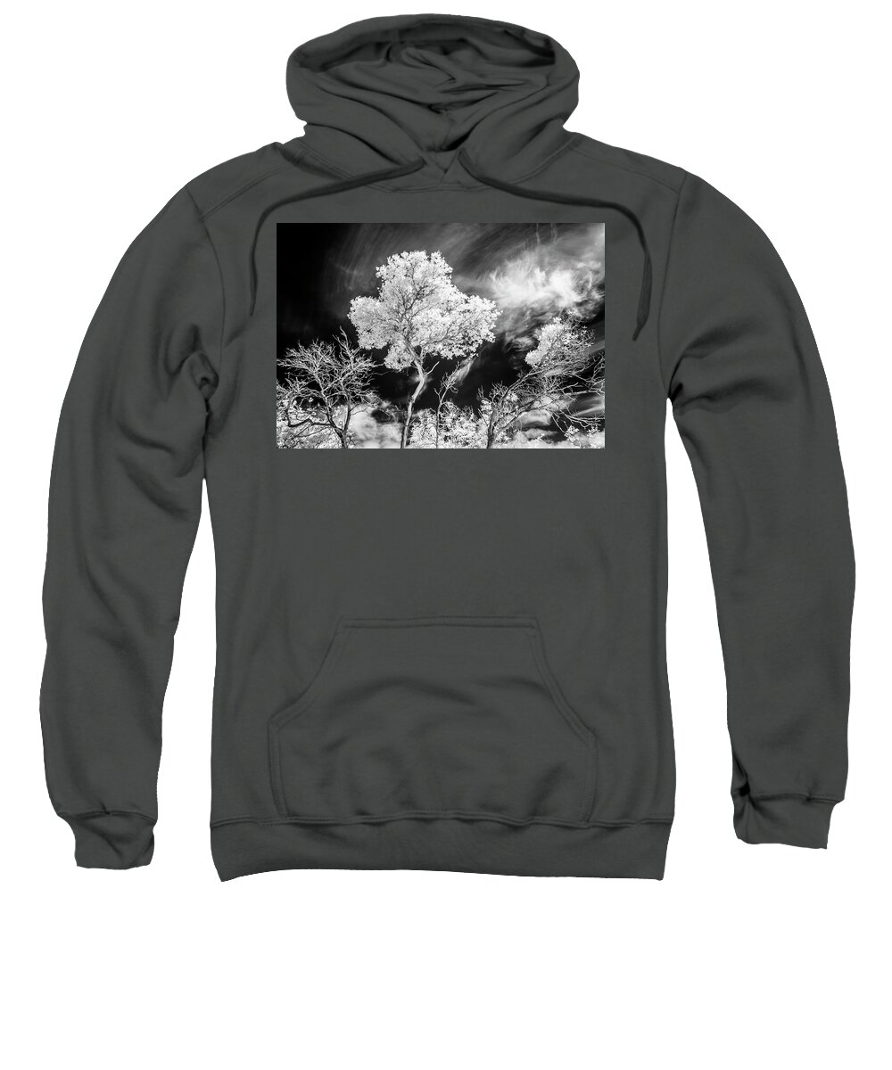 Infrared Tree Sweatshirt featuring the photograph Infrared Tree Tops by Roseanne Jones