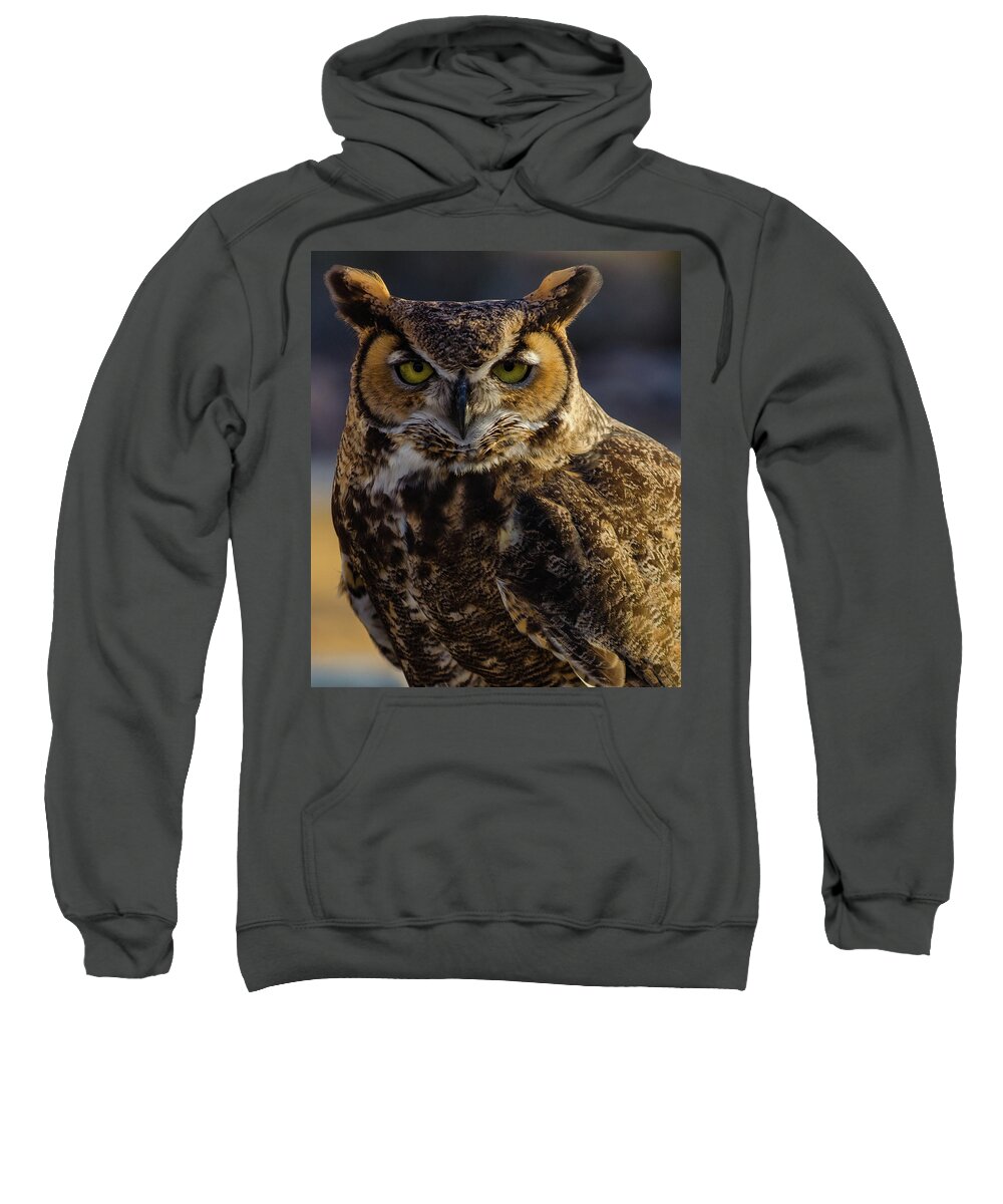 Owl Sweatshirt featuring the photograph Intense Owl by Douglas Killourie